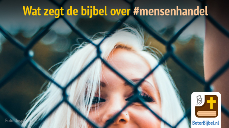Antwoorden - Wat zegt de Bijbel